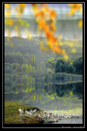 9 OKTYABRYA