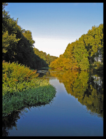 диагонали природы