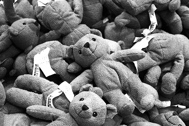 teddy...