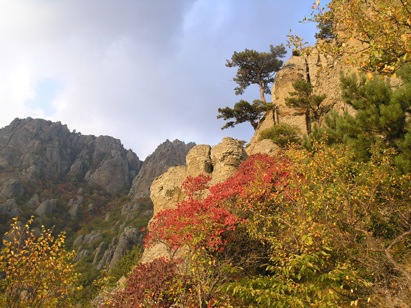 Нежная осень на Демерджи (Крым)