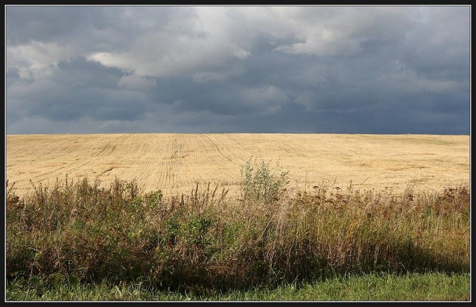 Цвет осени (2)