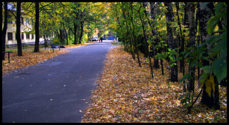 Дорога на работу