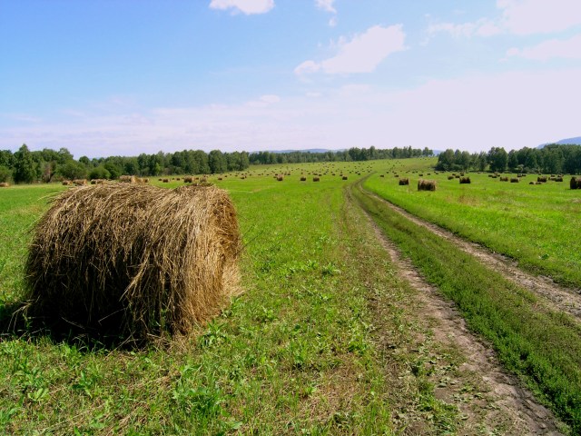 Катышки