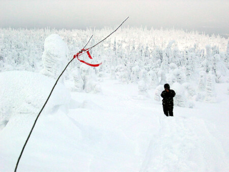 На краю Ойкумены