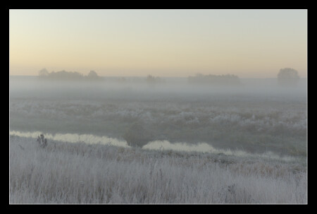 Rime...