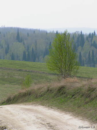 Утро
