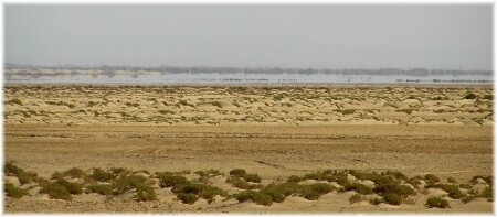 пустынный мираж