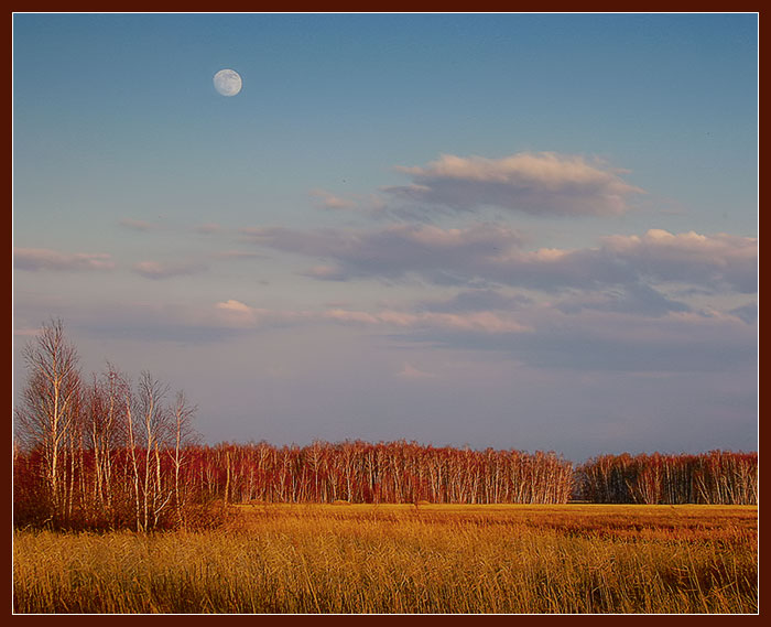 Осень