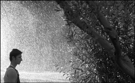 The Raining Man