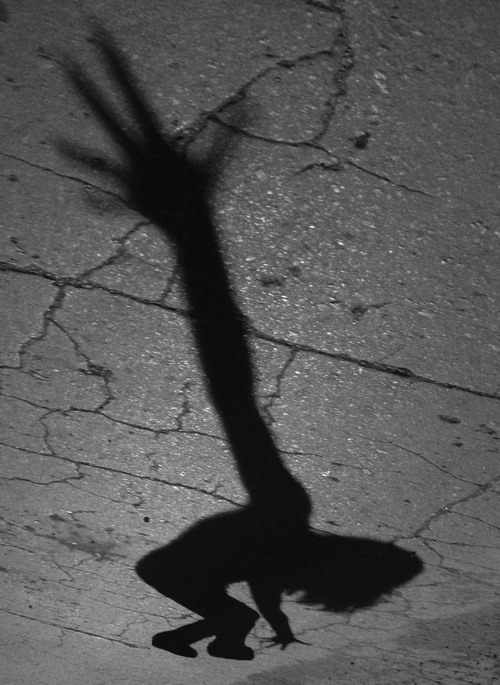 Shadow