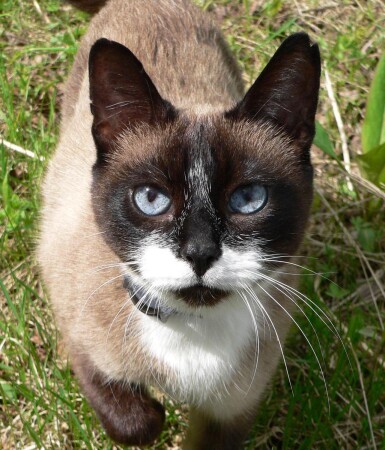 8 лет старушке, а как выглядит!