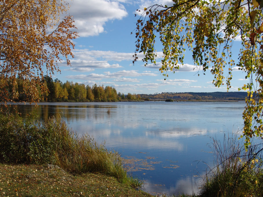 Осенние отражения