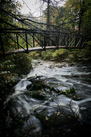 Crossing