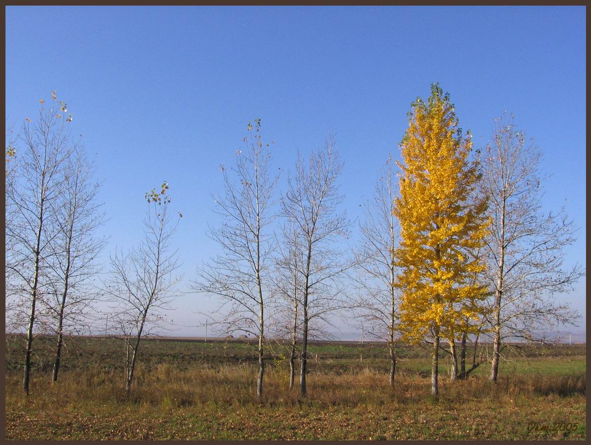 Осень еще хозяйка