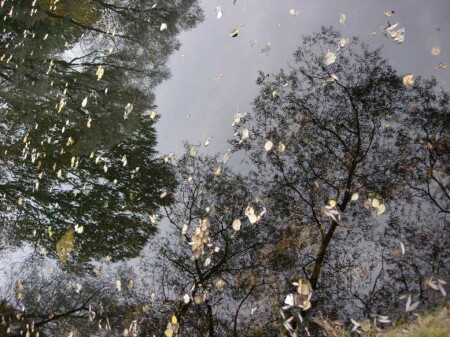 на плоскости воды