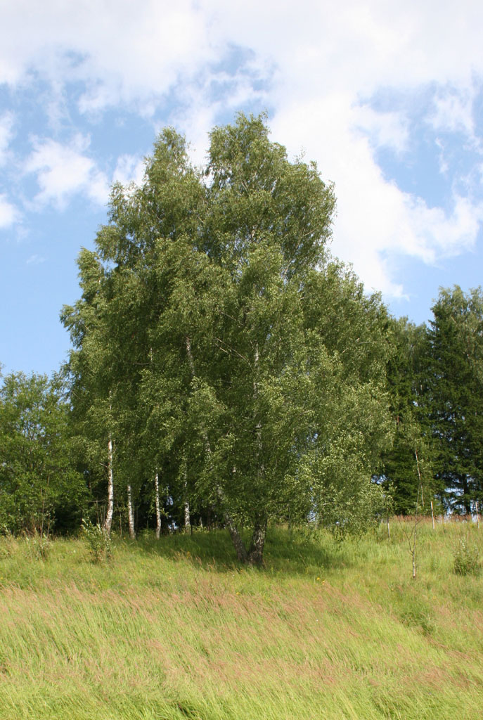Русская душа