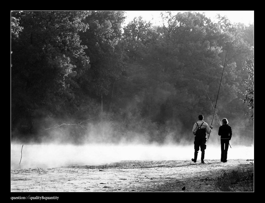 Fog