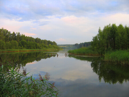 Озеро дер.Вихорна