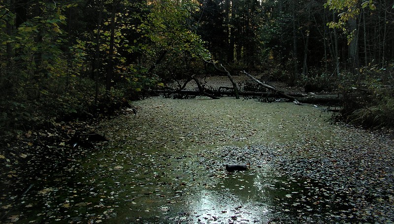 Темная вода