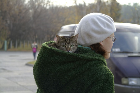 без названия 2