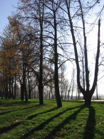 Осень