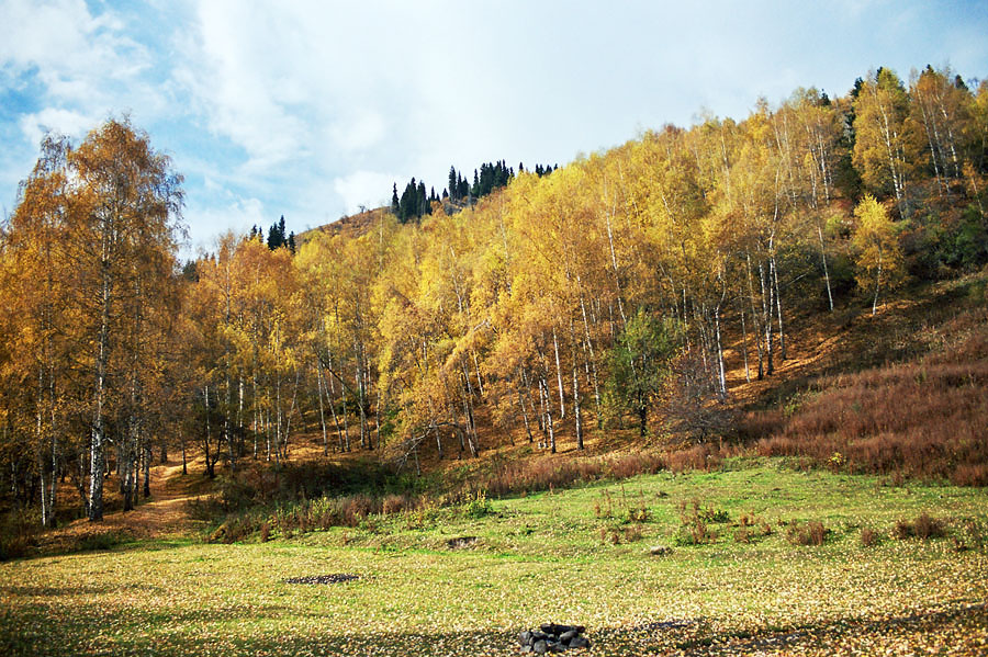 Осенний этюд