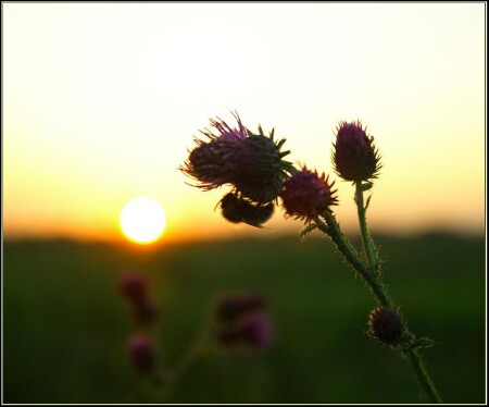 конец трудового дня
