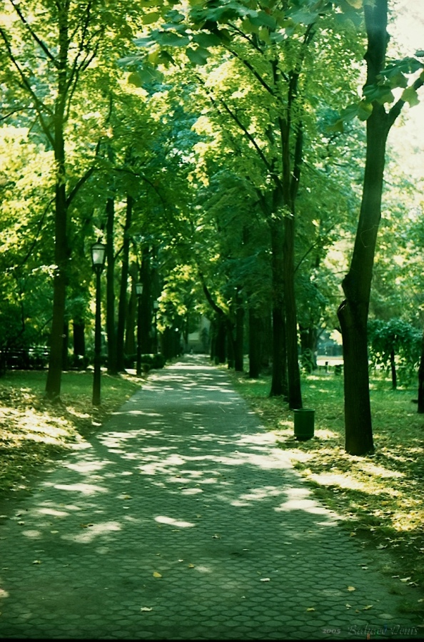 Аллея