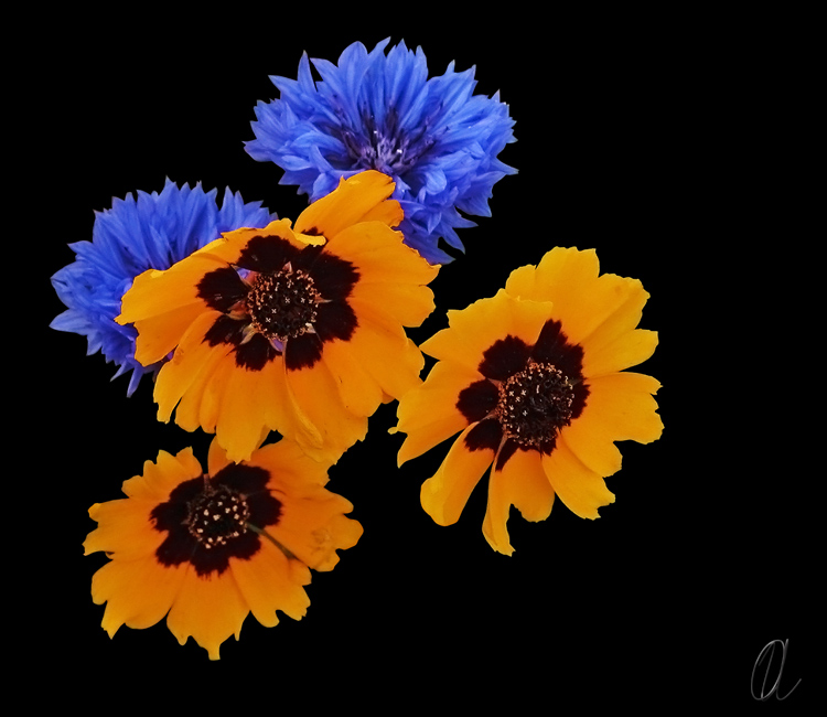 3+2