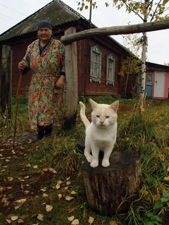 бабуля и кот василий