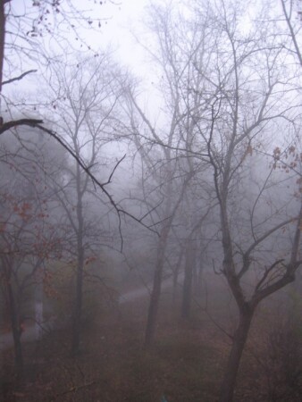 Осень. Рассвет. Туман.