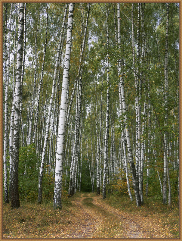 Про уходящее лето