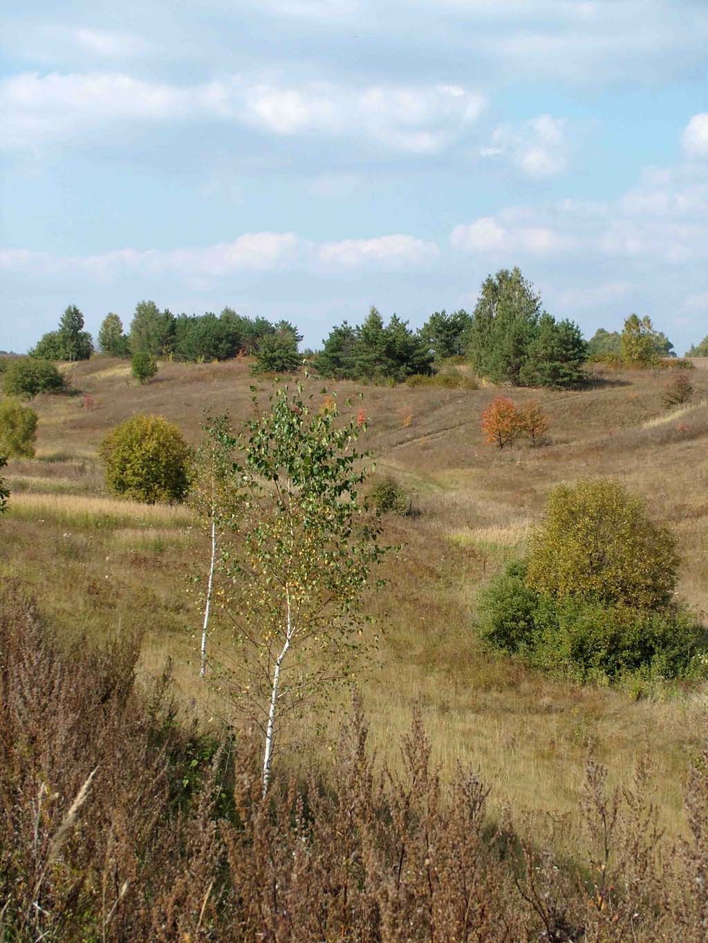 Осень