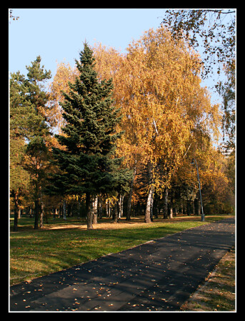 Осень в Городе # 4