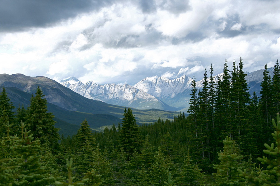 Maligne lake area