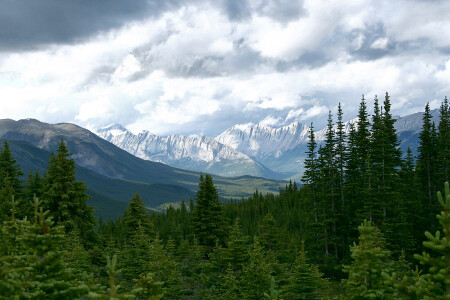 Maligne lake area