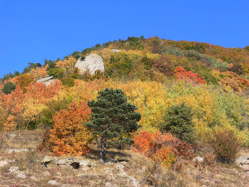 Октябрь в горном Крыму