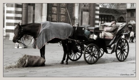 Florence