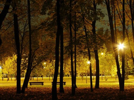 ..из темноты