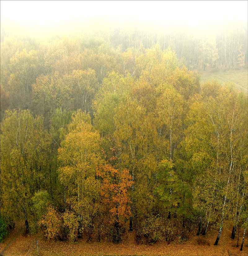 Осеняя