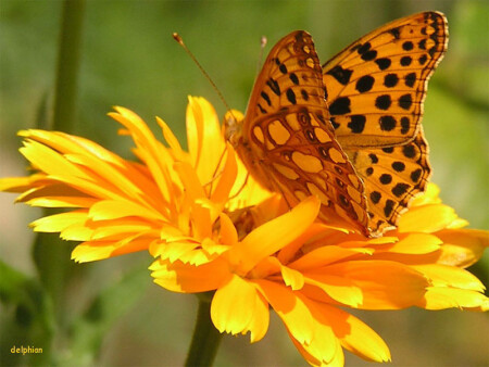 Полетели? (с настроением)