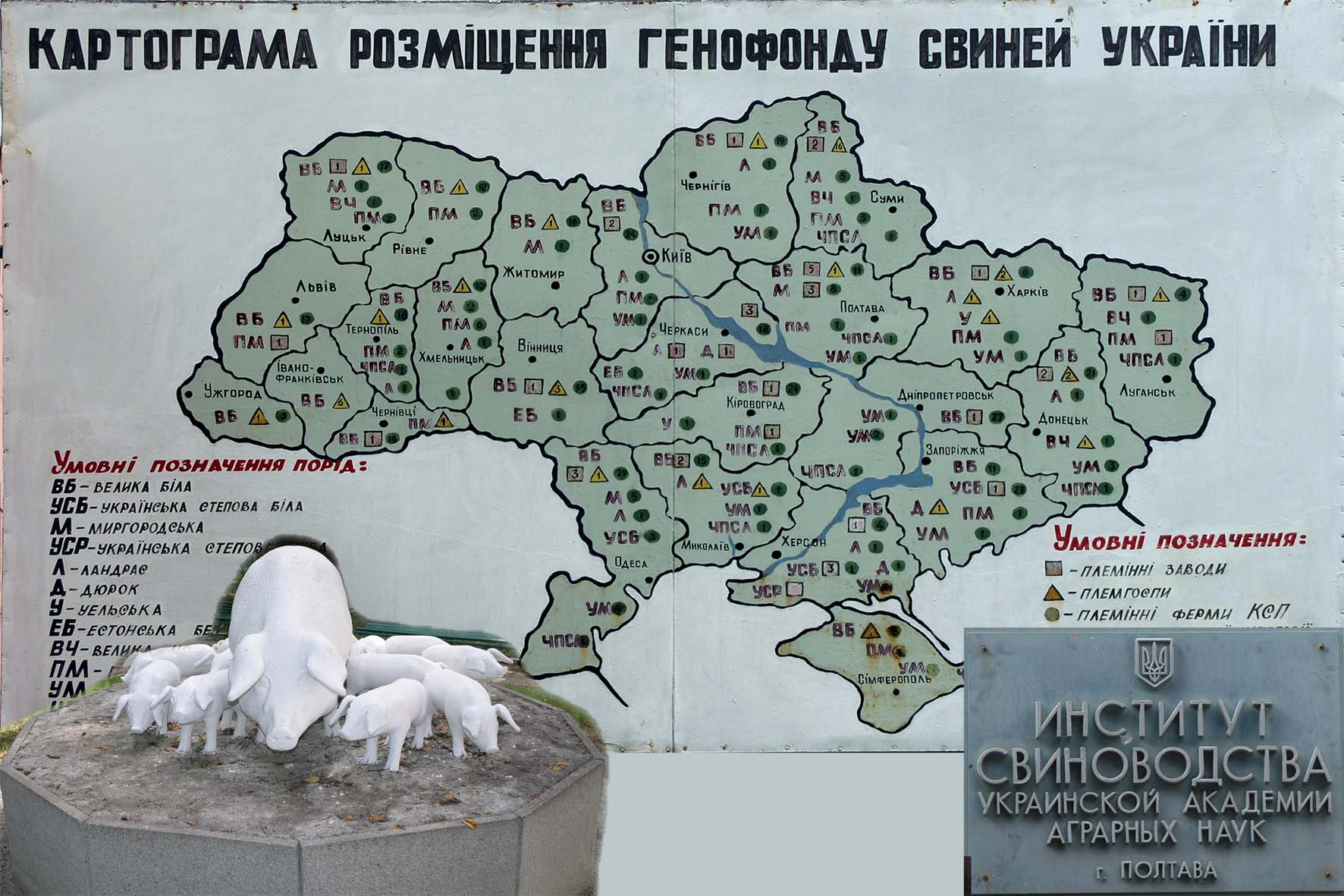 Институт Свиноводства Украинской Академии Аграрных Наук (ИСУААН)