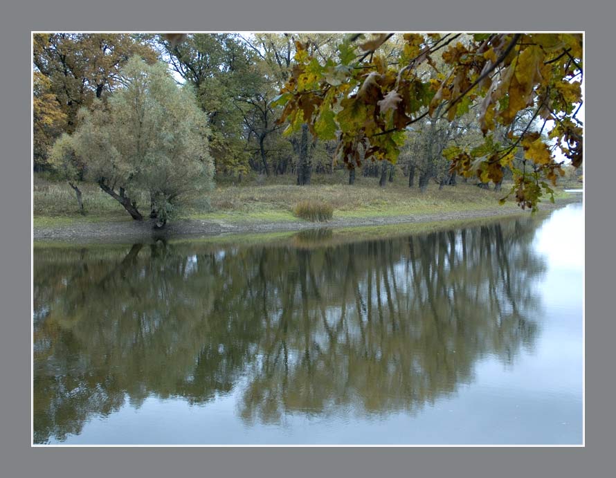 Поздняя осень