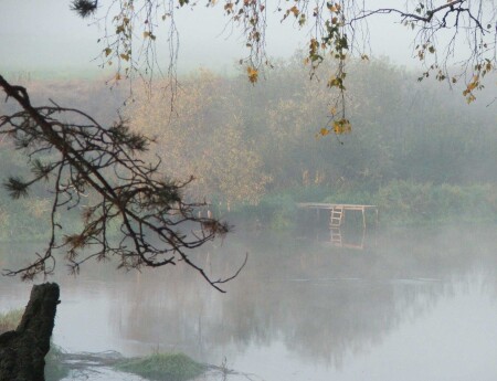 Туманное утро