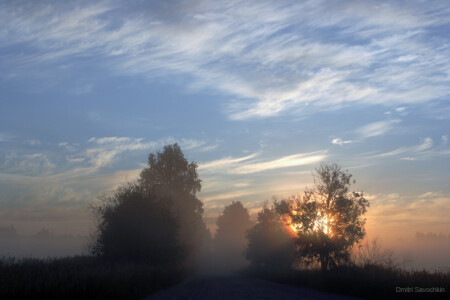 утро туманное