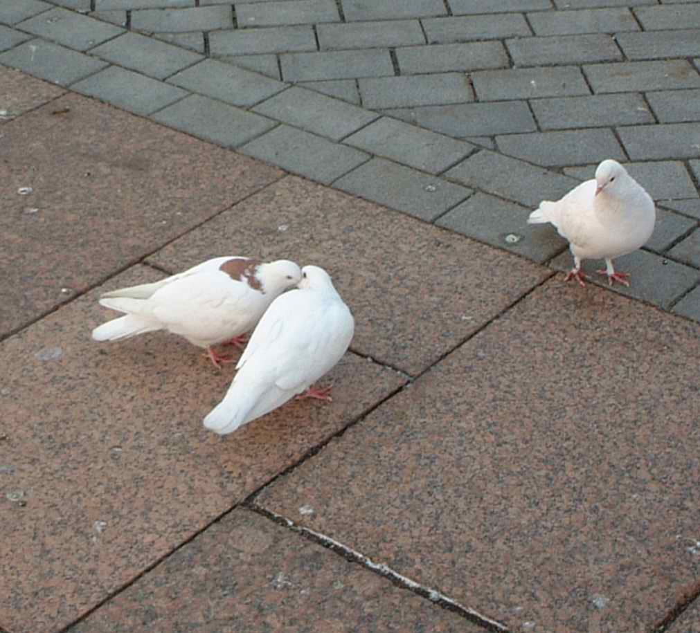 Любовь и ревность.