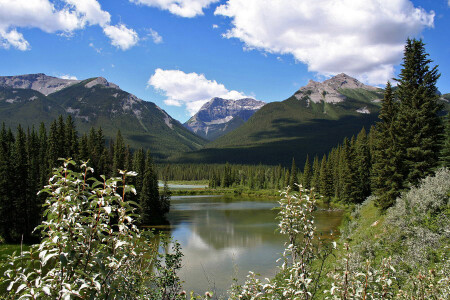 Mountains