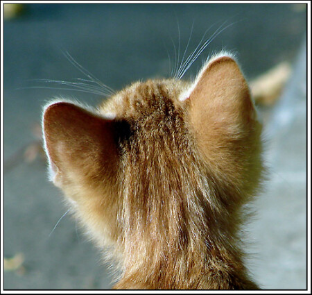 не правильная точка съёмки...