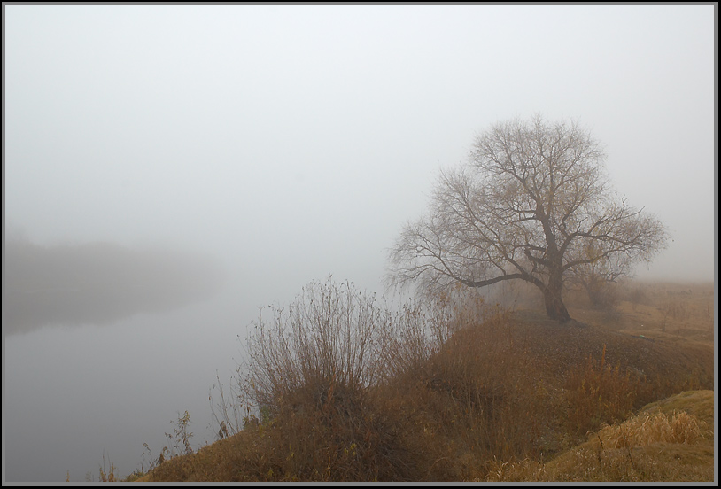 В Тумане