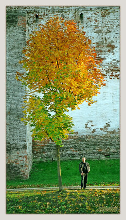 Осеннее настроение